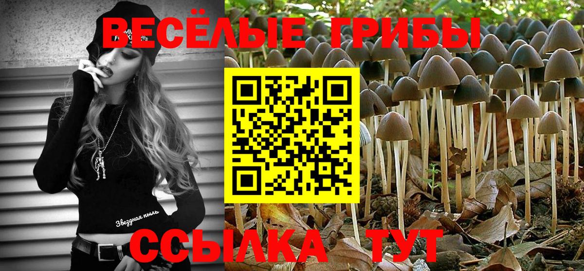 Псилоцибиновые грибы прущие грибы Россошь