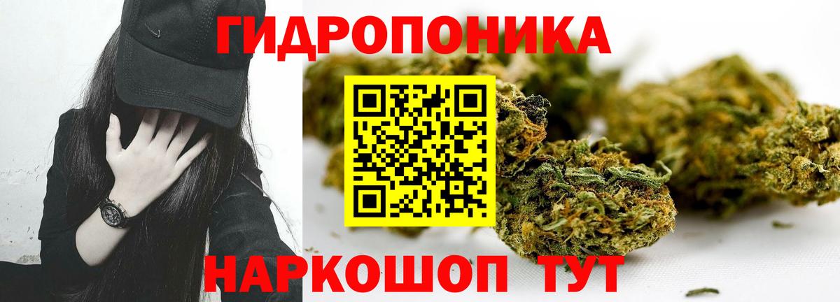 Конопля Amnesia  Канабис AK-47  Россошь  Канабис VHQ  Вход с VPN 